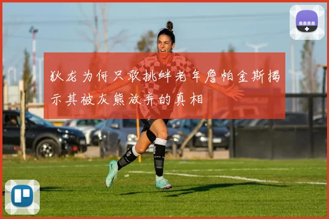 狄龙为何只敢挑衅老年詹帕金斯揭示其被灰熊放弃的真相