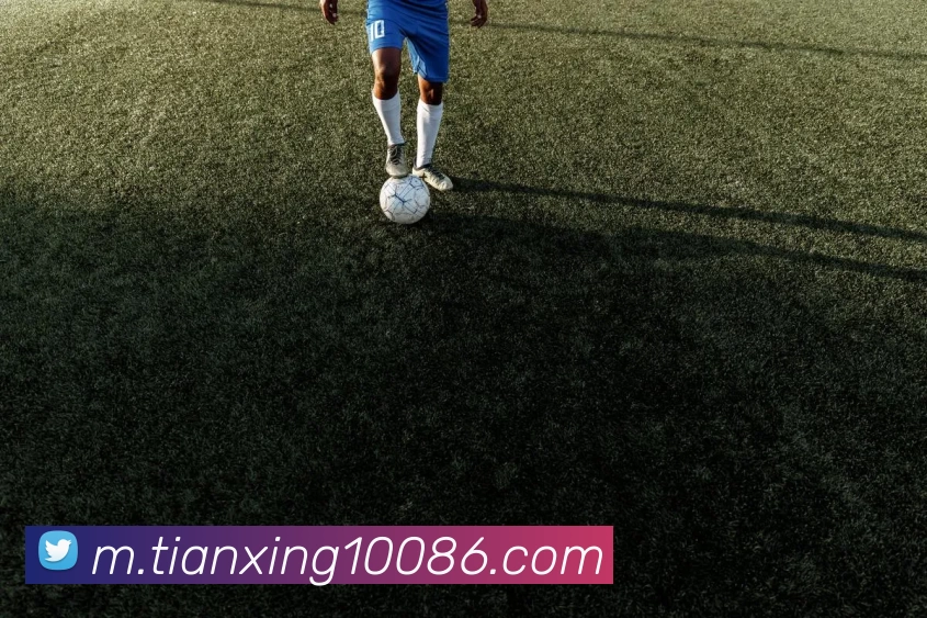 天行体育平台生态图